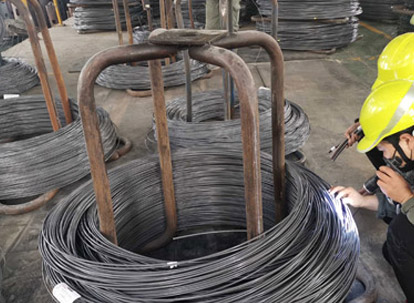 Ispezione aspetto-Sito