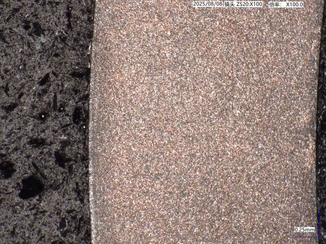 Grafico di misurazione del microscopio metallografico