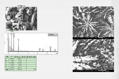 Test a membrana-micrografia elettronica